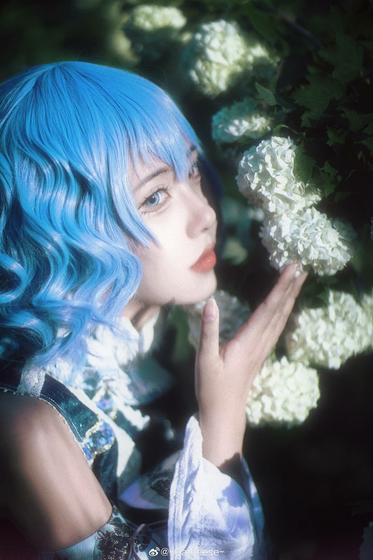 「-Catheese-」东方project 多多良小伞 或许，我是无尽的潮湿。☂️👻