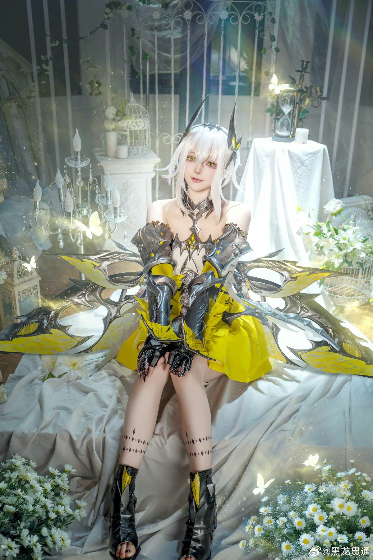 「黑龙贯通」二重螺旋 赛琪